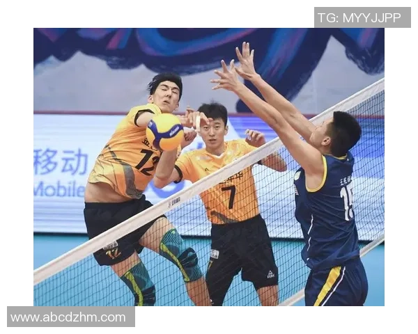 上海排球队最新排球比赛经验TOP10分析助力球队更进一步