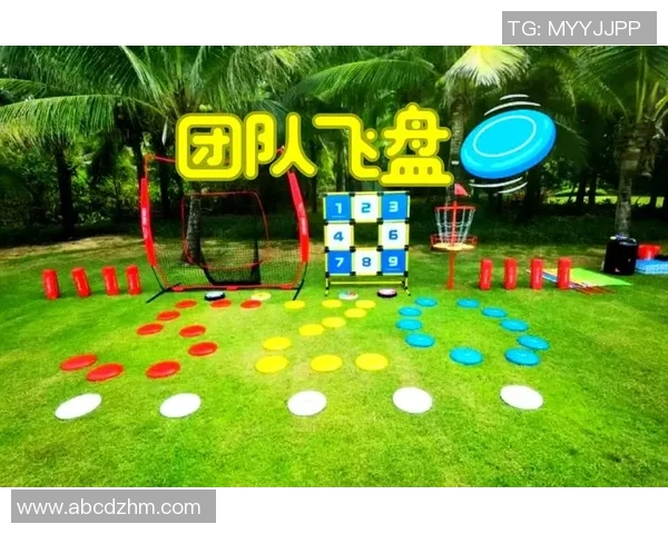 武汉飞盘队心理素质强劲夺冠飞盘心理素质排行榜揭晓