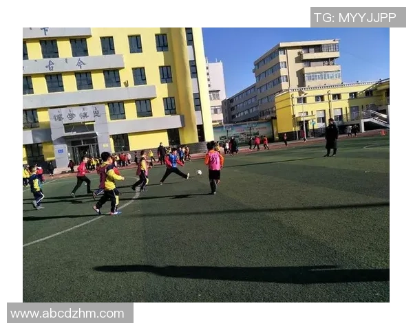 足球场上的激情与梦想：一场难忘比赛的日记分享