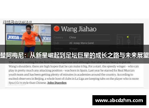 楚阿梅尼：从新星崛起到足坛巨星的成长之路与未来展望