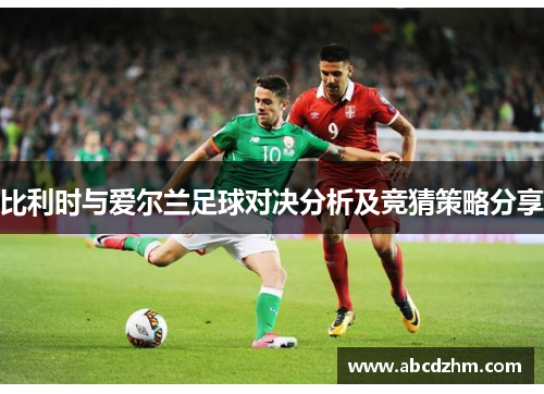 比利时与爱尔兰足球对决分析及竞猜策略分享