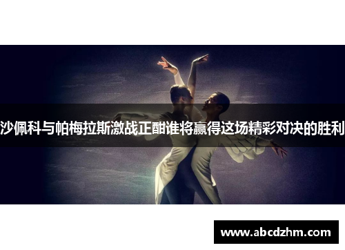 沙佩科与帕梅拉斯激战正酣谁将赢得这场精彩对决的胜利