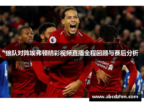 狼队对阵埃弗顿精彩视频直播全程回顾与赛后分析