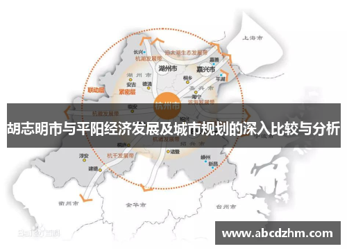 胡志明市与平阳经济发展及城市规划的深入比较与分析